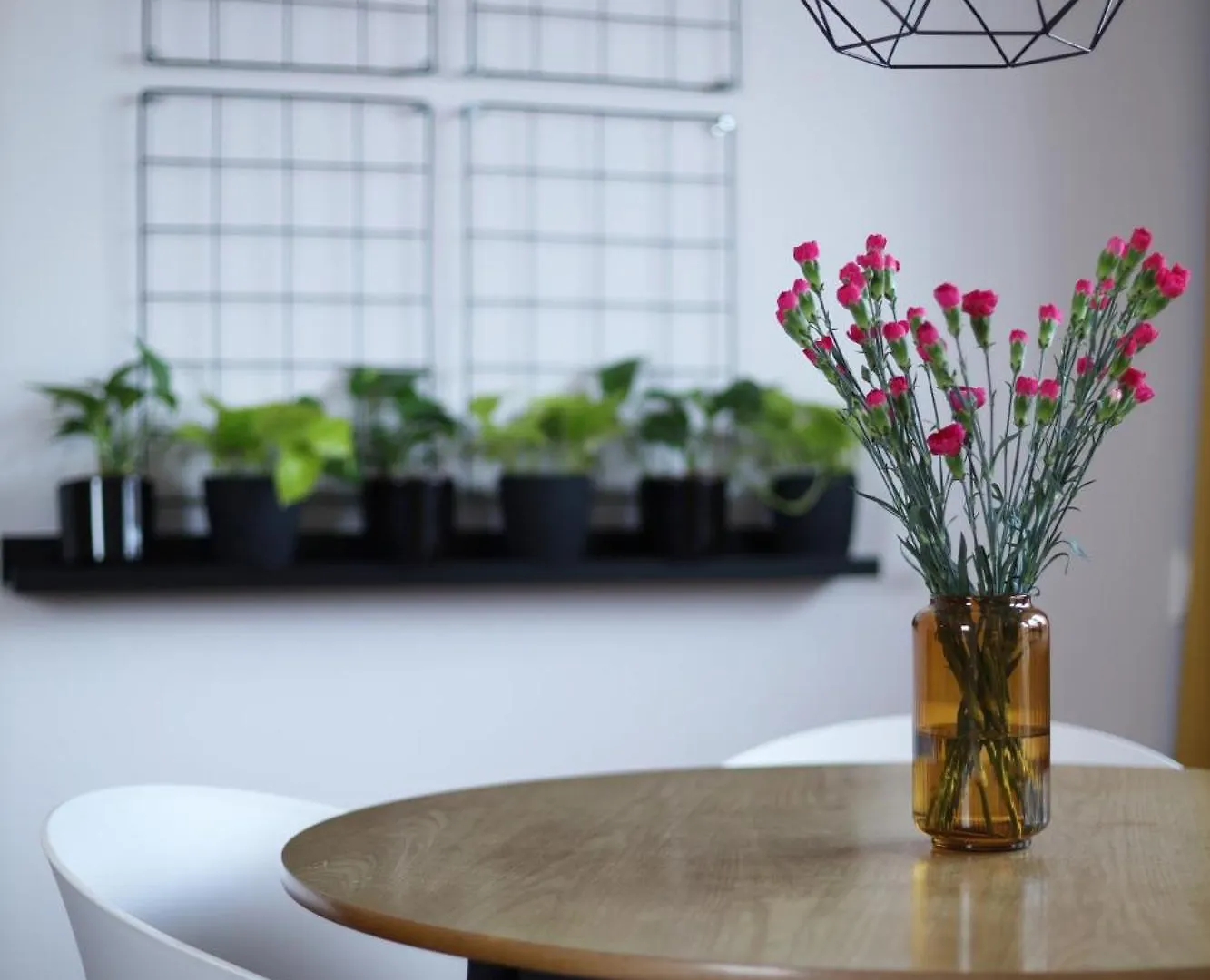 Flora Apartment Poznan - Mtp & Park Wilsona 0*,